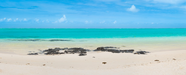 Similar image 13044049