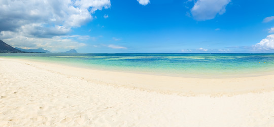 Similar image 13044071