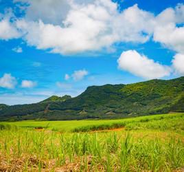 Similar image 13044191