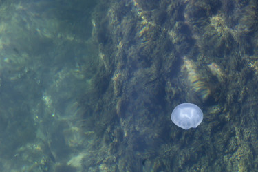 Similar image 13032829