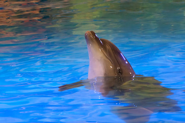 Similar image 13032833