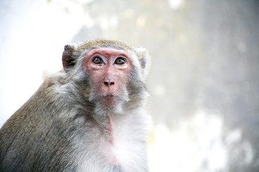 Similar image 13033016