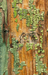 Similar image 13041601