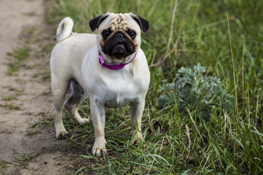 Similar image 13044094