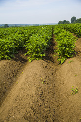 Similar image 13044125