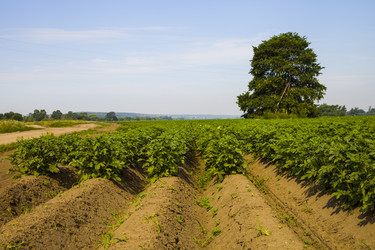 Similar image 13044127