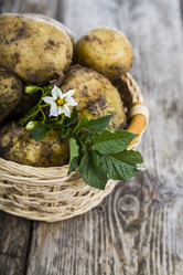 Similar image 13044166