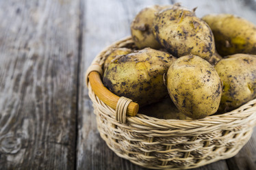 Similar image 13044167