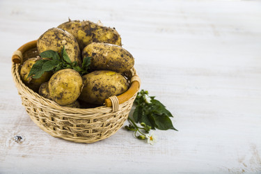 Similar image 13044068