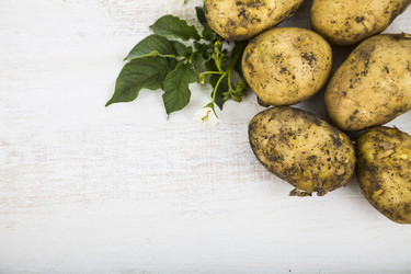 Similar image 13044072