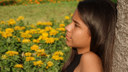 Similar image 13044492