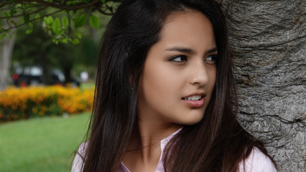 Similar image 13044500