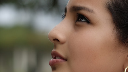 Similar image 13044520