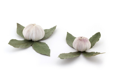 Similar image 13032972