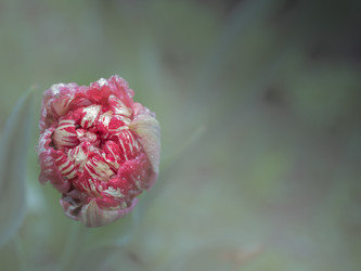 Similar image 13032392