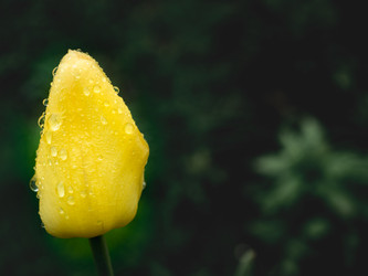 Similar image 13032393