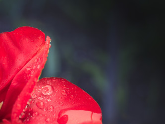 Similar image 13032395