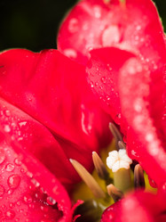 Similar image 13032398