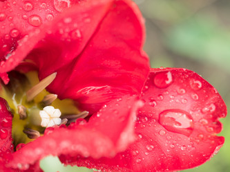 Similar image 13032399