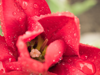 Similar image 13032400