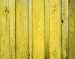 Similar image 13032402