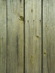 Similar image 13032403