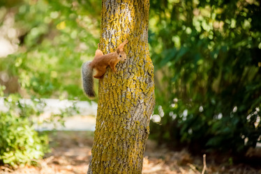 Similar image 13040997