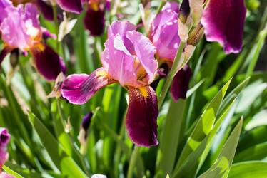 Similar image 13040998