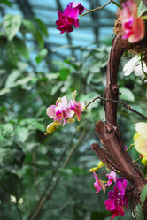 Similar image 13032356