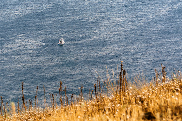 Similar image 13032289