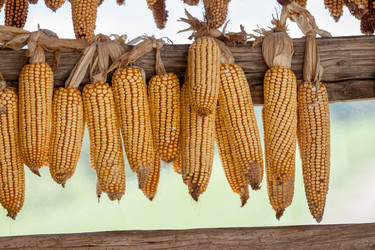 Similar image 13059847