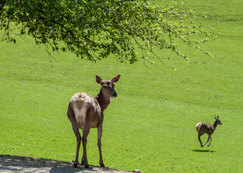 Similar image 13059860