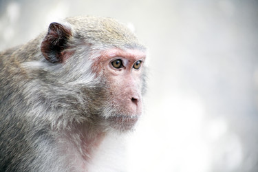 Similar image 13033033