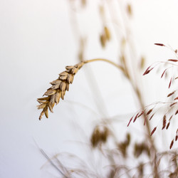 Similar image 13032979