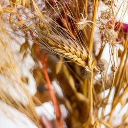 Similar image 13032980