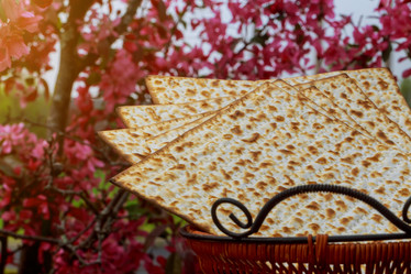 Similar image 13058846