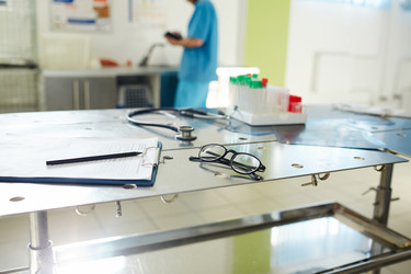 Similar image 13032637