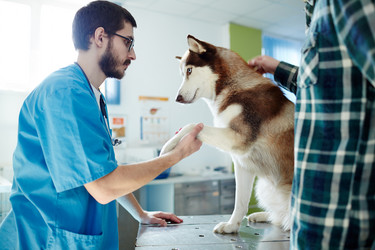 Similar image 13032639