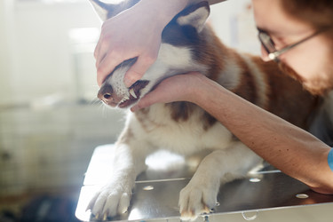 Similar image 13032641