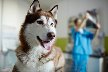 Similar image 13032643