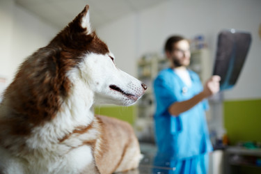 Similar image 13032644