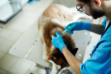 Similar image 13032664