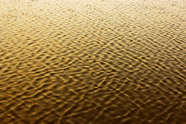 Similar image 13032382