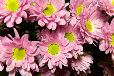 Similar image 13041201