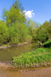 Similar image 13041236