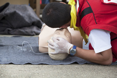 Similar image 13033089