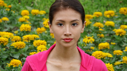 Similar image 13044499