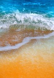 Similar image 13041365