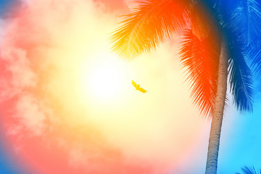 Similar image 13041369