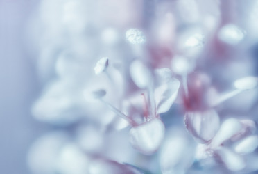 Similar image 13032290